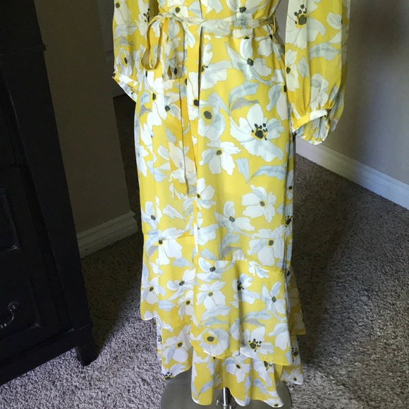 Banana Republic- Size 4 High/Low Dress - Picture 5 of 8